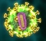 schweinegrippe-virus